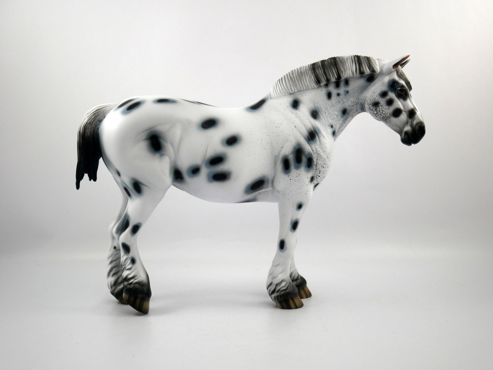 HAIL MARY-LE-15 LOUD APPALOOSA DRAFT MARE SB 21