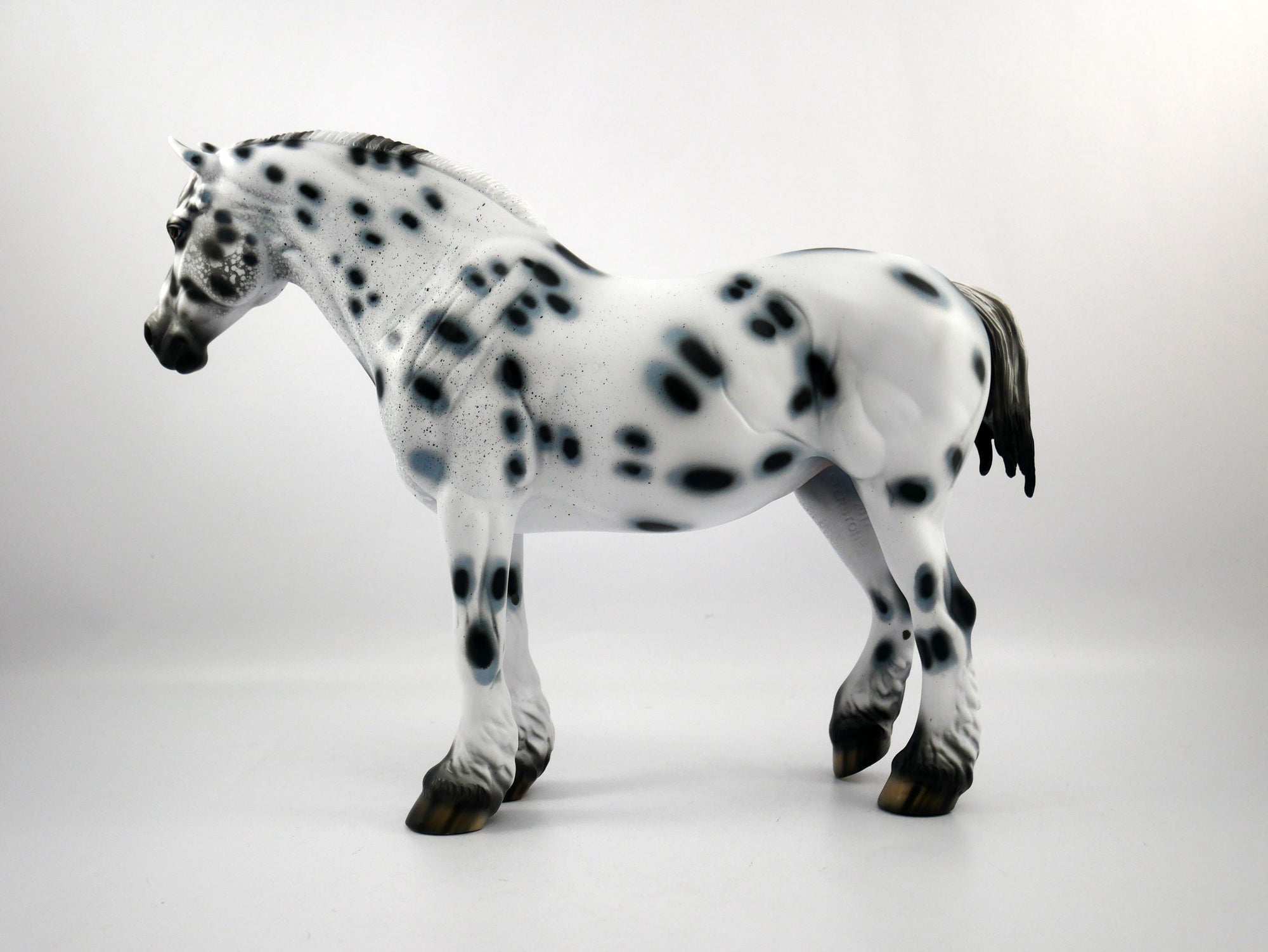 HAIL MARY-LE-15 LOUD APPALOOSA DRAFT MARE SB 21