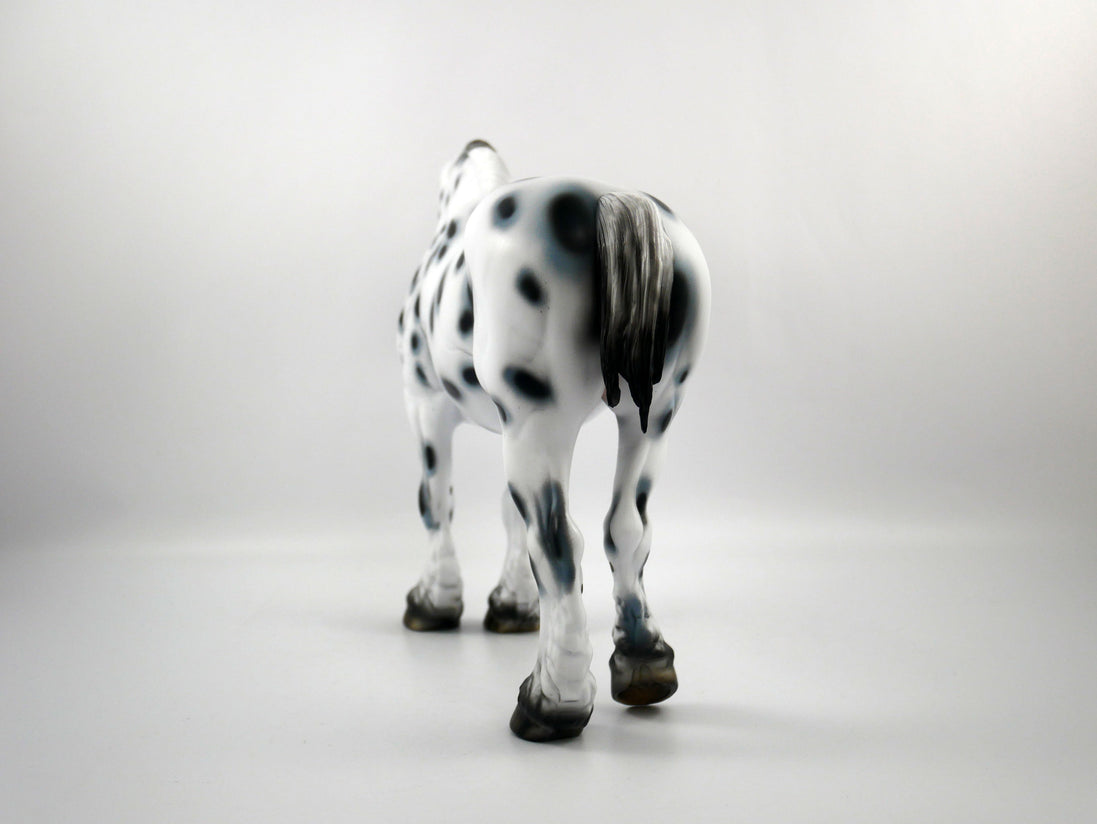 HAIL MARY-LE-15 LOUD APPALOOSA DRAFT MARE SB 21