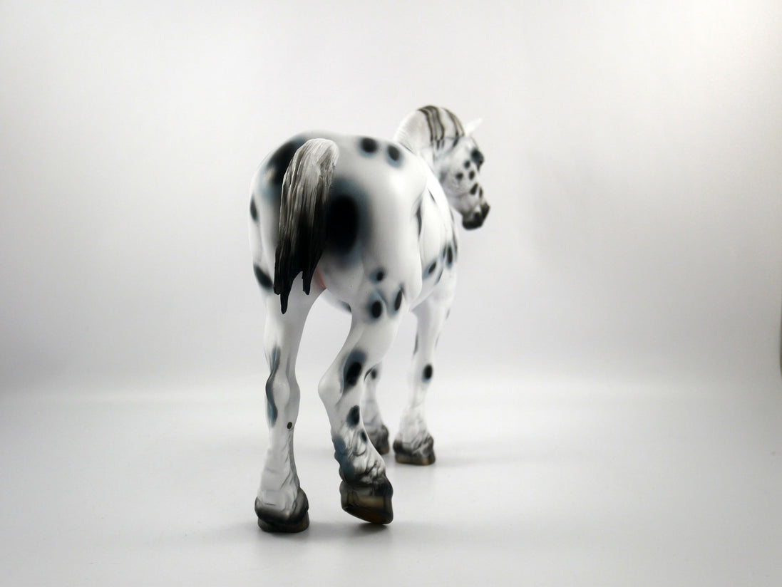 HAIL MARY-LE-15 LOUD APPALOOSA DRAFT MARE SB 21