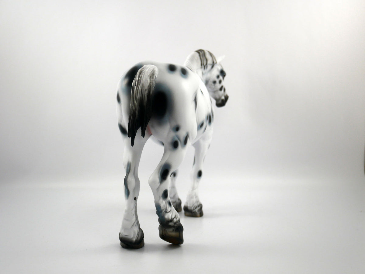 HAIL MARY-LE-15 LOUD APPALOOSA DRAFT MARE SB 21