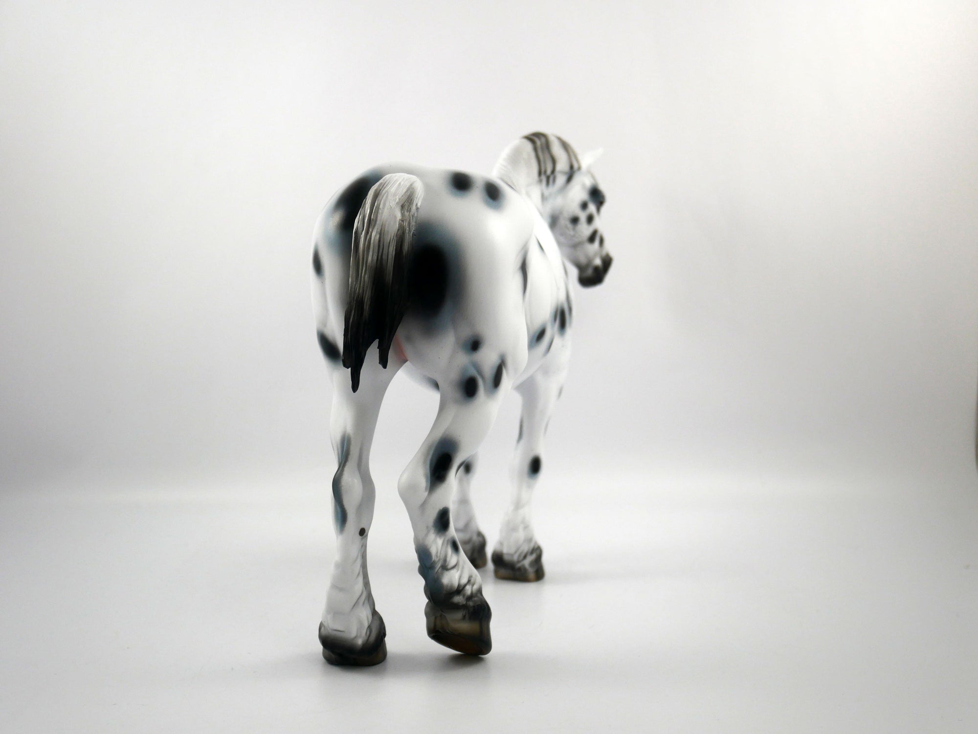 HAIL MARY-LE-15 LOUD APPALOOSA DRAFT MARE SB 21