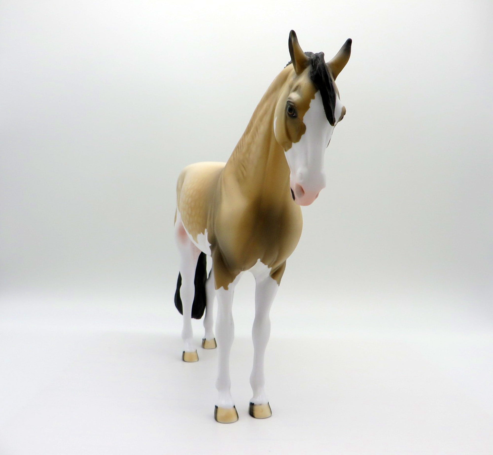 Hailstorm-OOAK Dapple Buckskin Paint Andalusian SHCF 2021