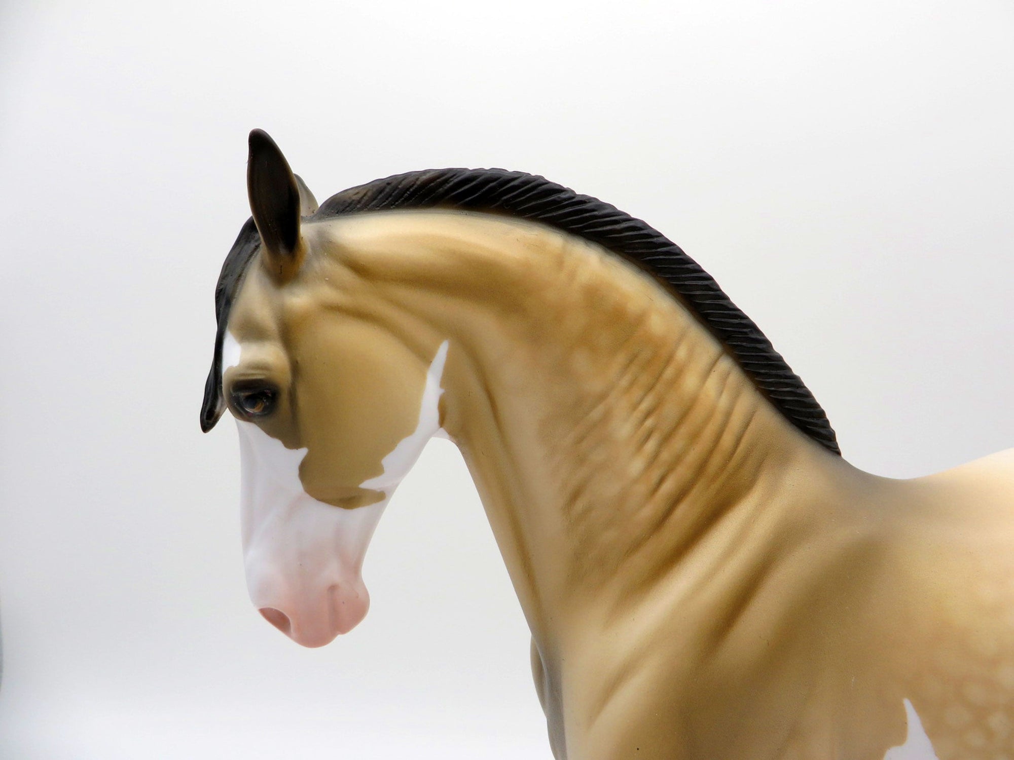 Hailstorm-OOAK Dapple Buckskin Paint Andalusian SHCF 2021