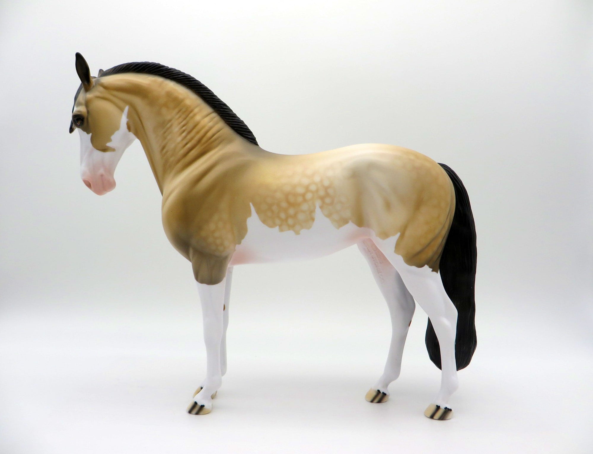 Hailstorm-OOAK Dapple Buckskin Paint Andalusian SHCF 2021