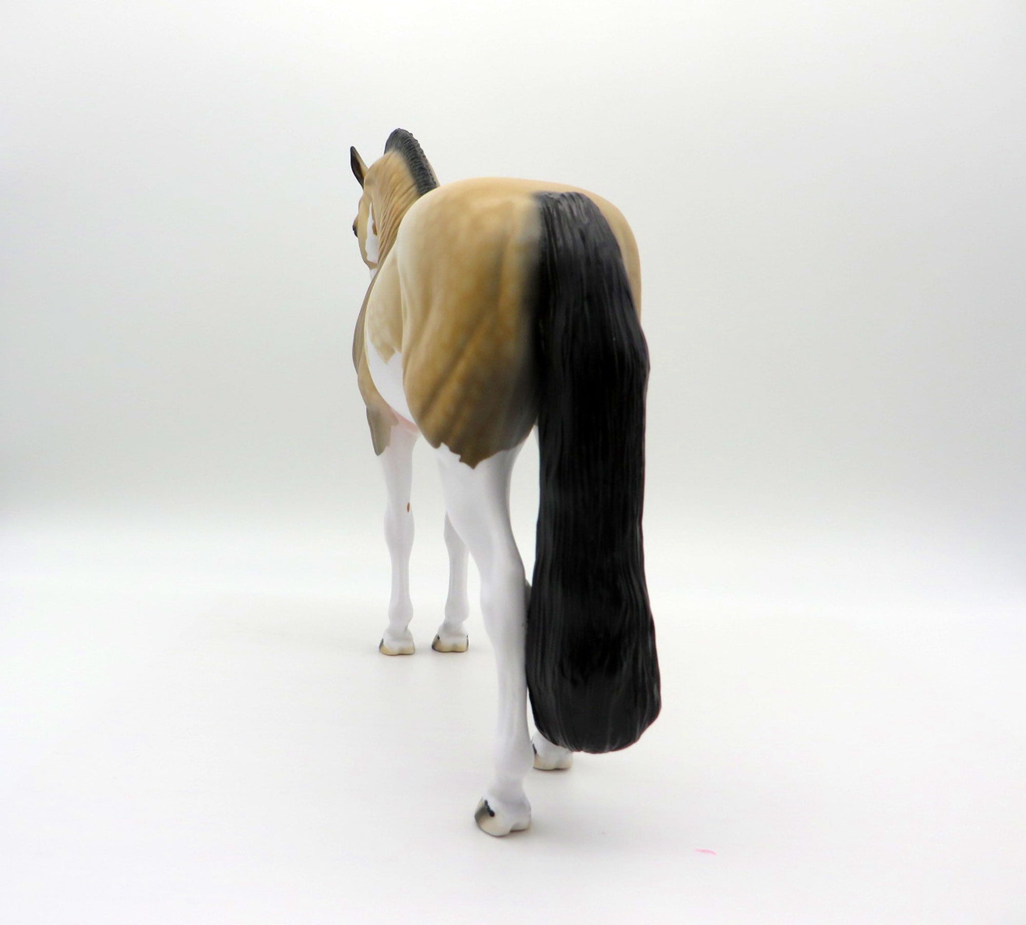 Hailstorm-OOAK Dapple Buckskin Paint Andalusian SHCF 2021
