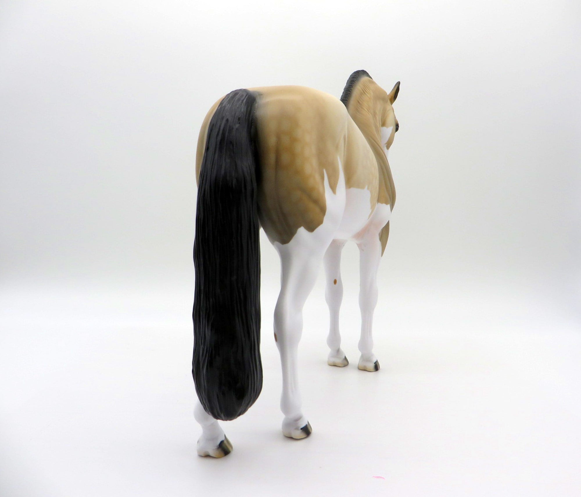 Hailstorm-OOAK Dapple Buckskin Paint Andalusian SHCF 2021