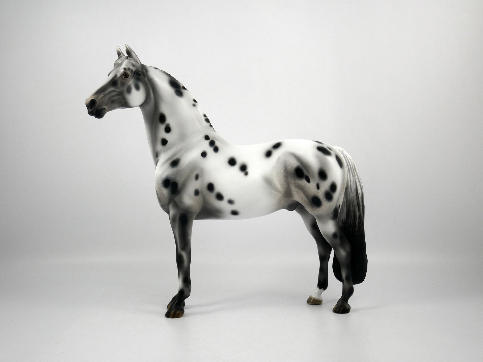 Halestorm-OOAK Appaloosa Morgan 1/8/21