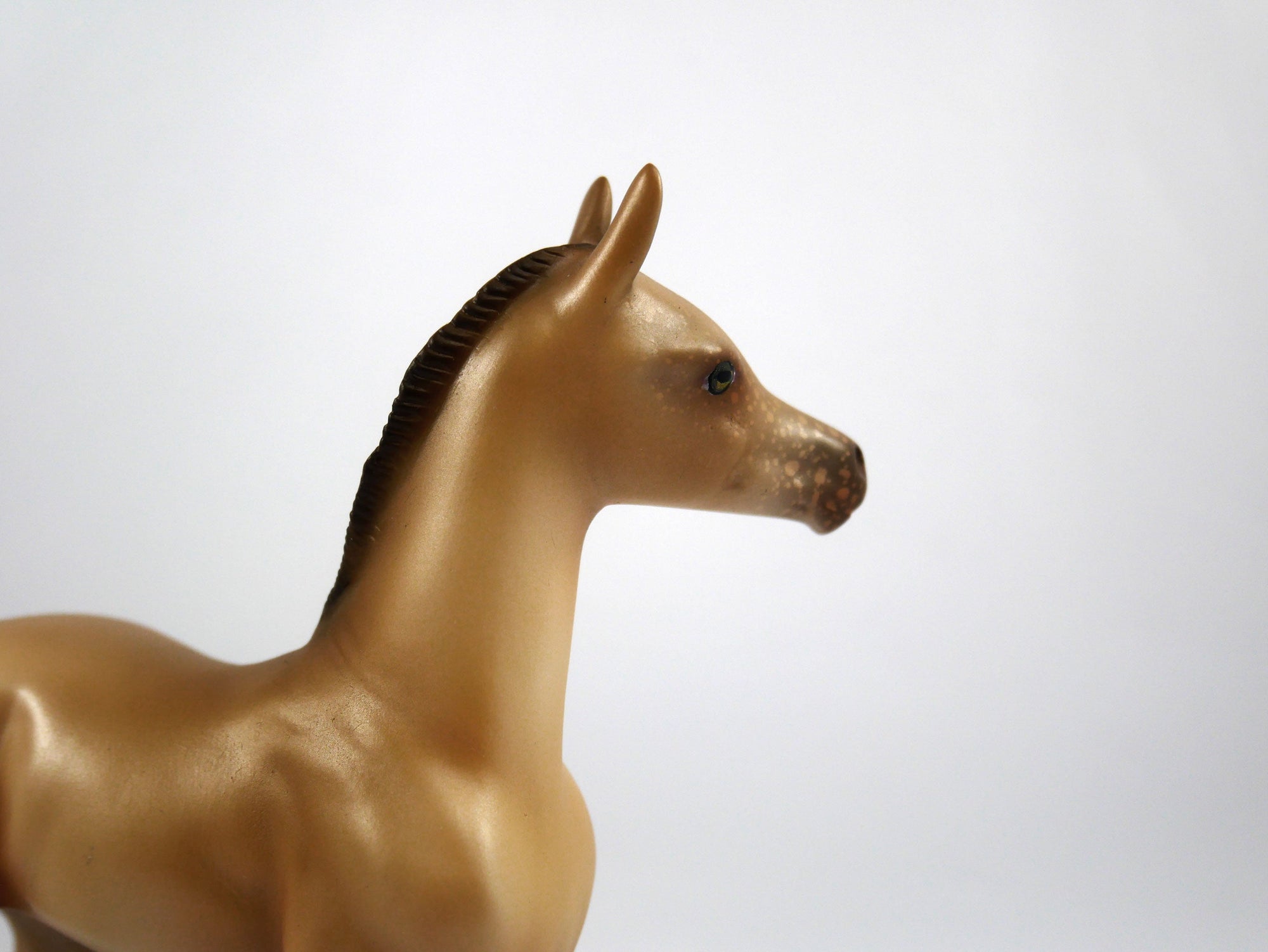 Half Time-OOAK Champagne  Arabian Foal Painted by Audrey Dixon SB21