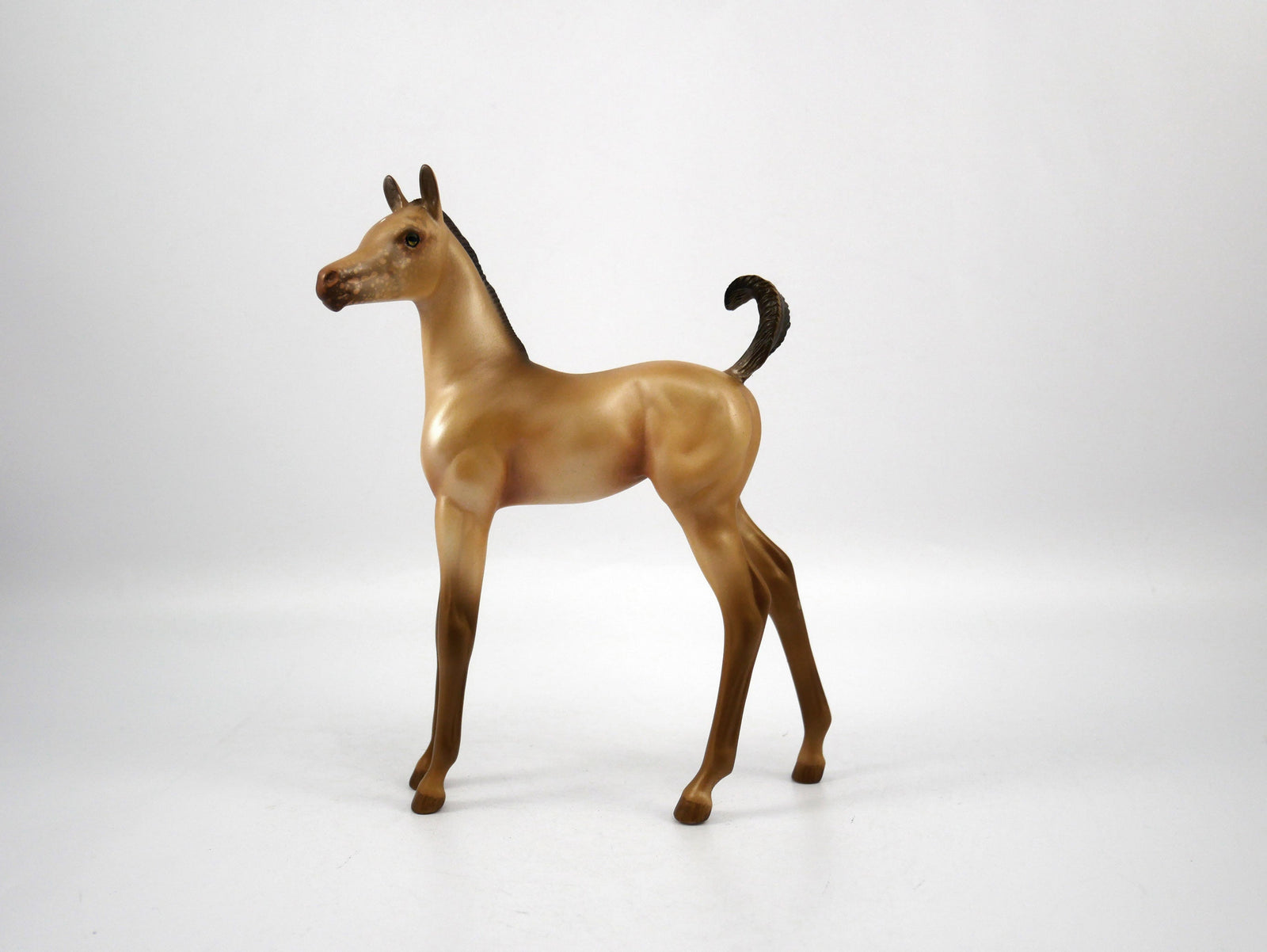 Half Time-OOAK Champagne  Arabian Foal Painted by Audrey Dixon SB21