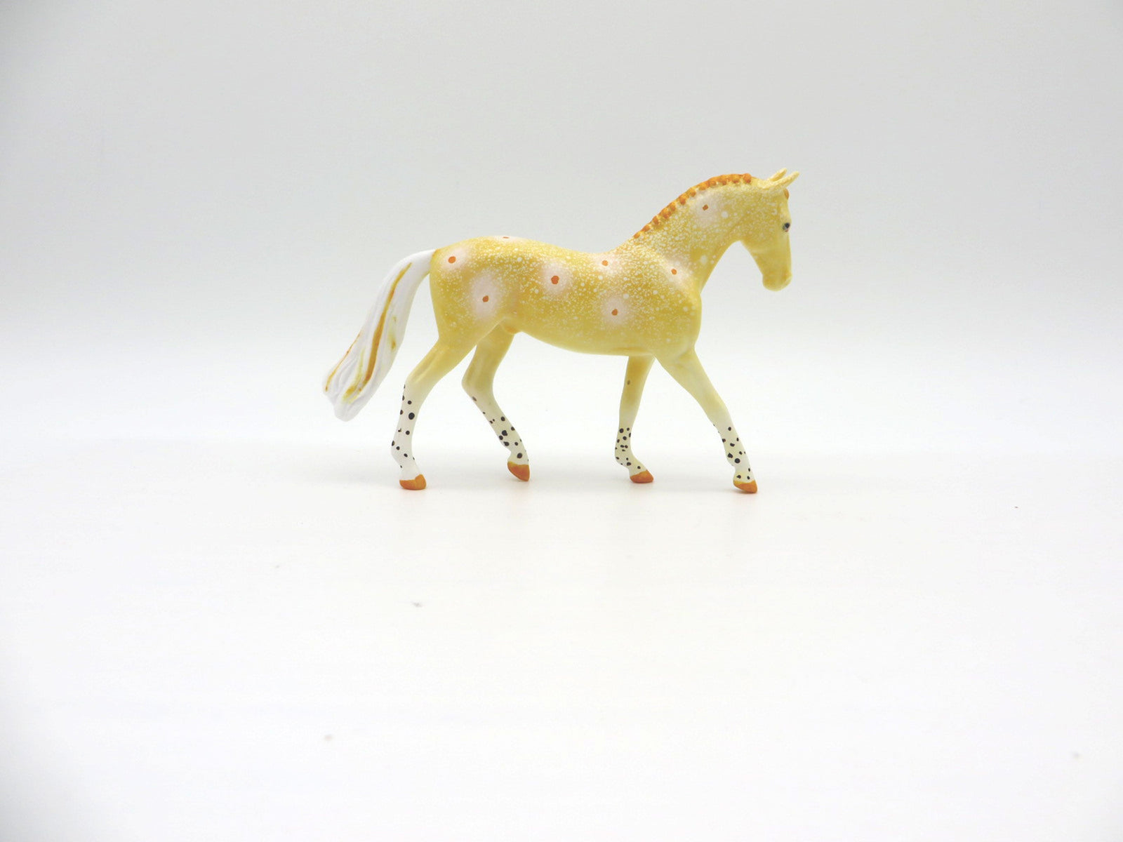 Halgerda-OOAK Chip Warmblood Deco Sea Slug Painted By Ellen Robbins 7/16/21