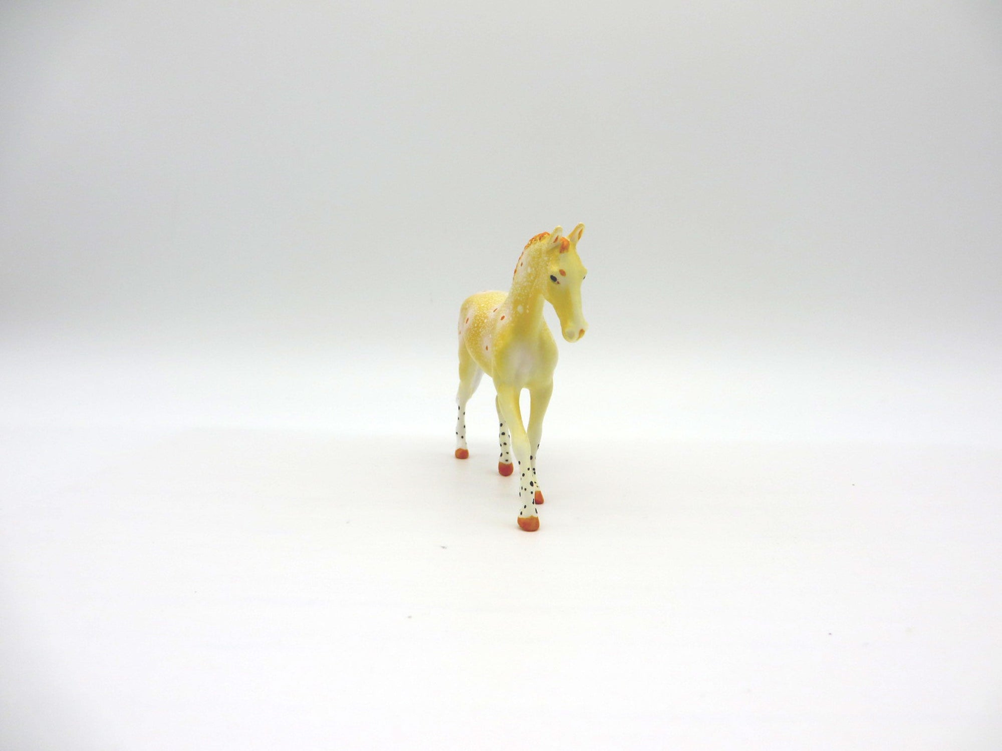 Halgerda-OOAK Chip Warmblood Deco Sea Slug Painted By Ellen Robbins 7/16/21