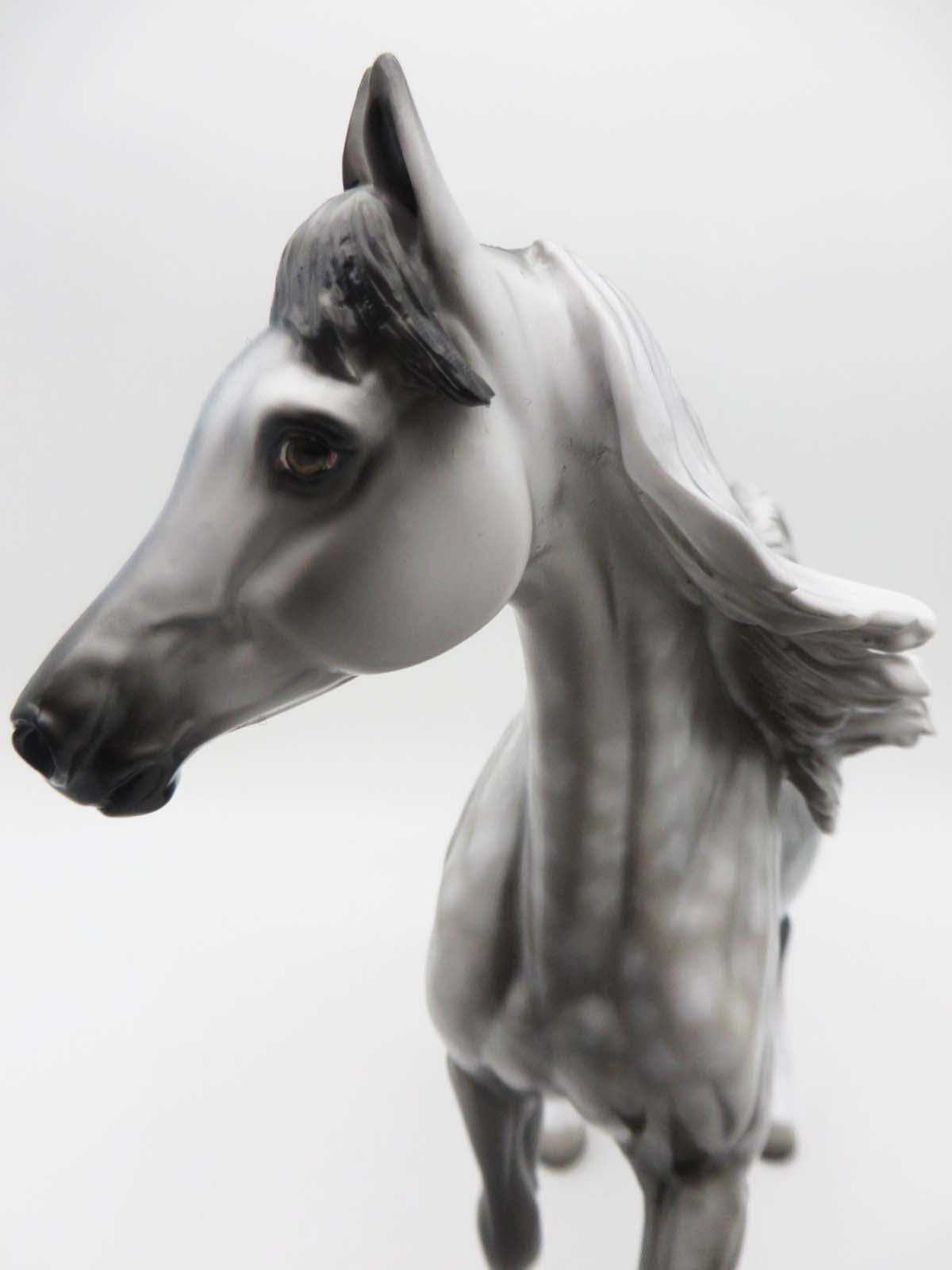 Halsey - OOAK - Dappled Grey Arab Mare by Dawn Quick - Best Offers 3/6/23