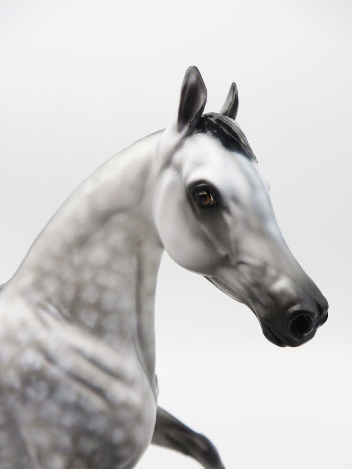 Halsey - OOAK - Dappled Grey Arab Mare by Dawn Quick - Best Offers 3/6/23