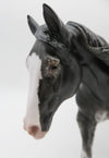 Hamner - OOAK - Black Appaloosa Remington by Sheryl Leisure - Best Offers 12/27/22