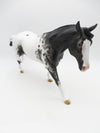 Hamner - OOAK - Black Appaloosa Remington by Sheryl Leisure - Best Offers 12/27/22