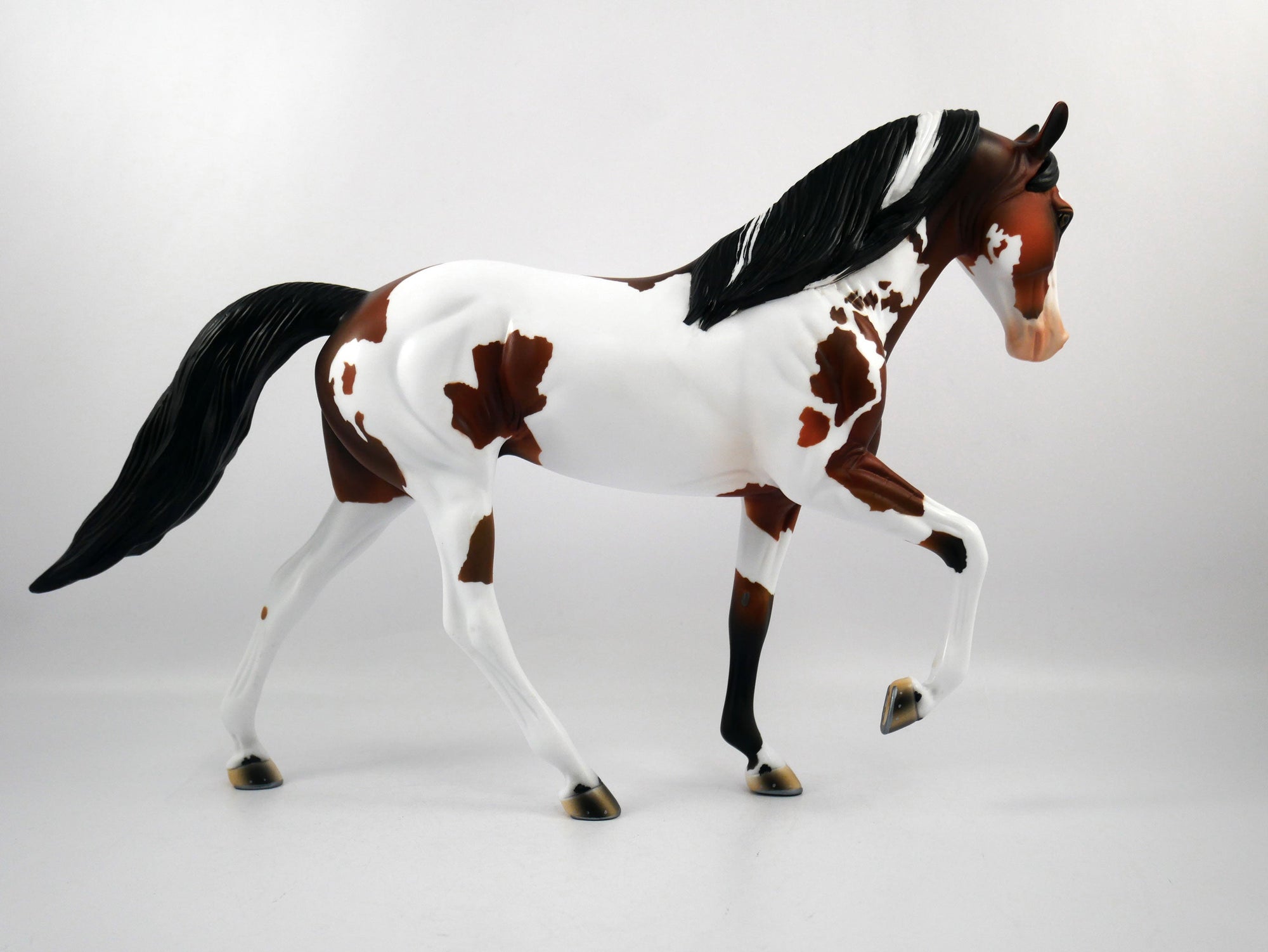 HANDOFF-OOAK Bay Pinto Tennessee Walker  SB21