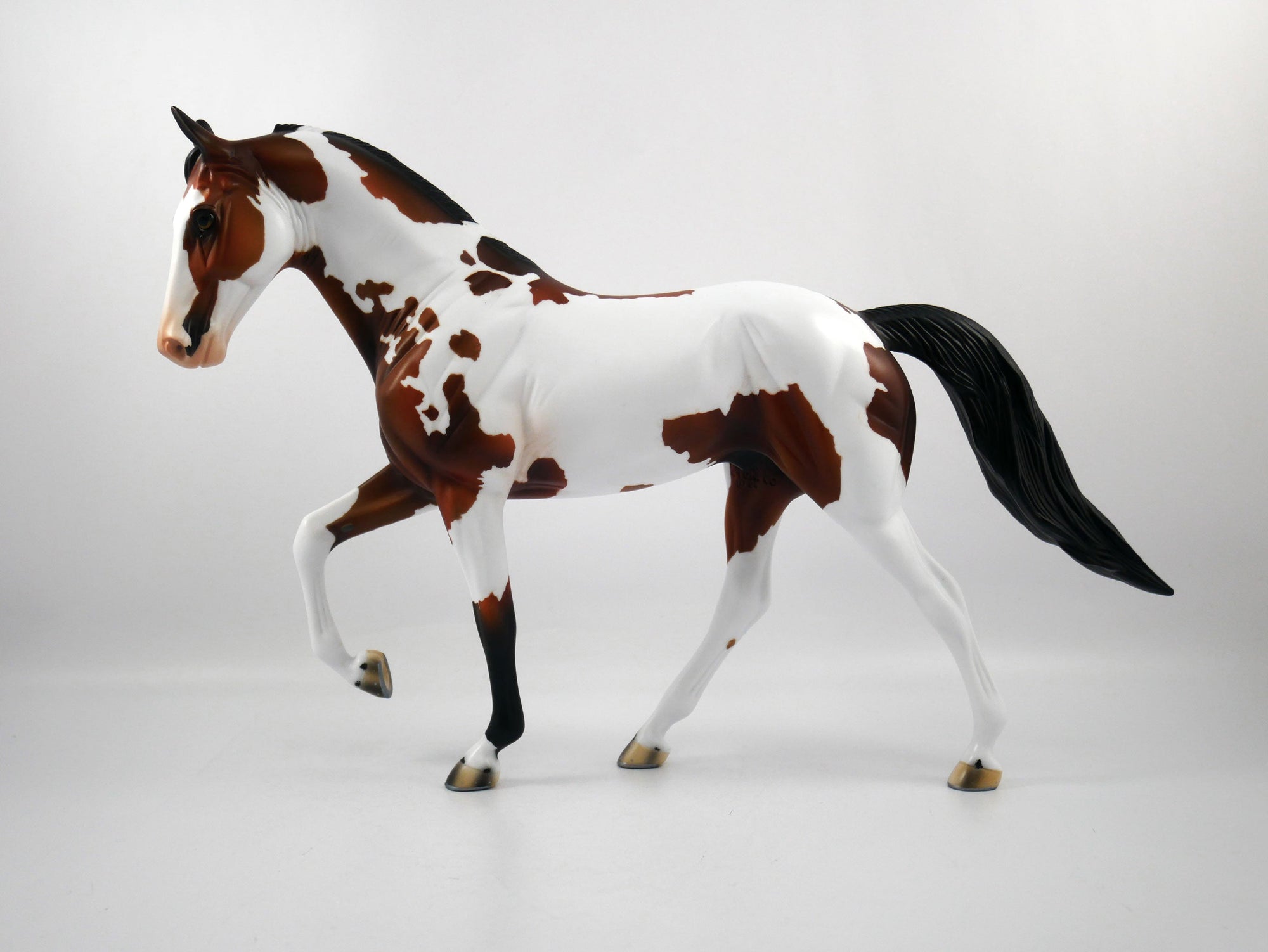 HANDOFF-OOAK Bay Pinto Tennessee Walker  SB21