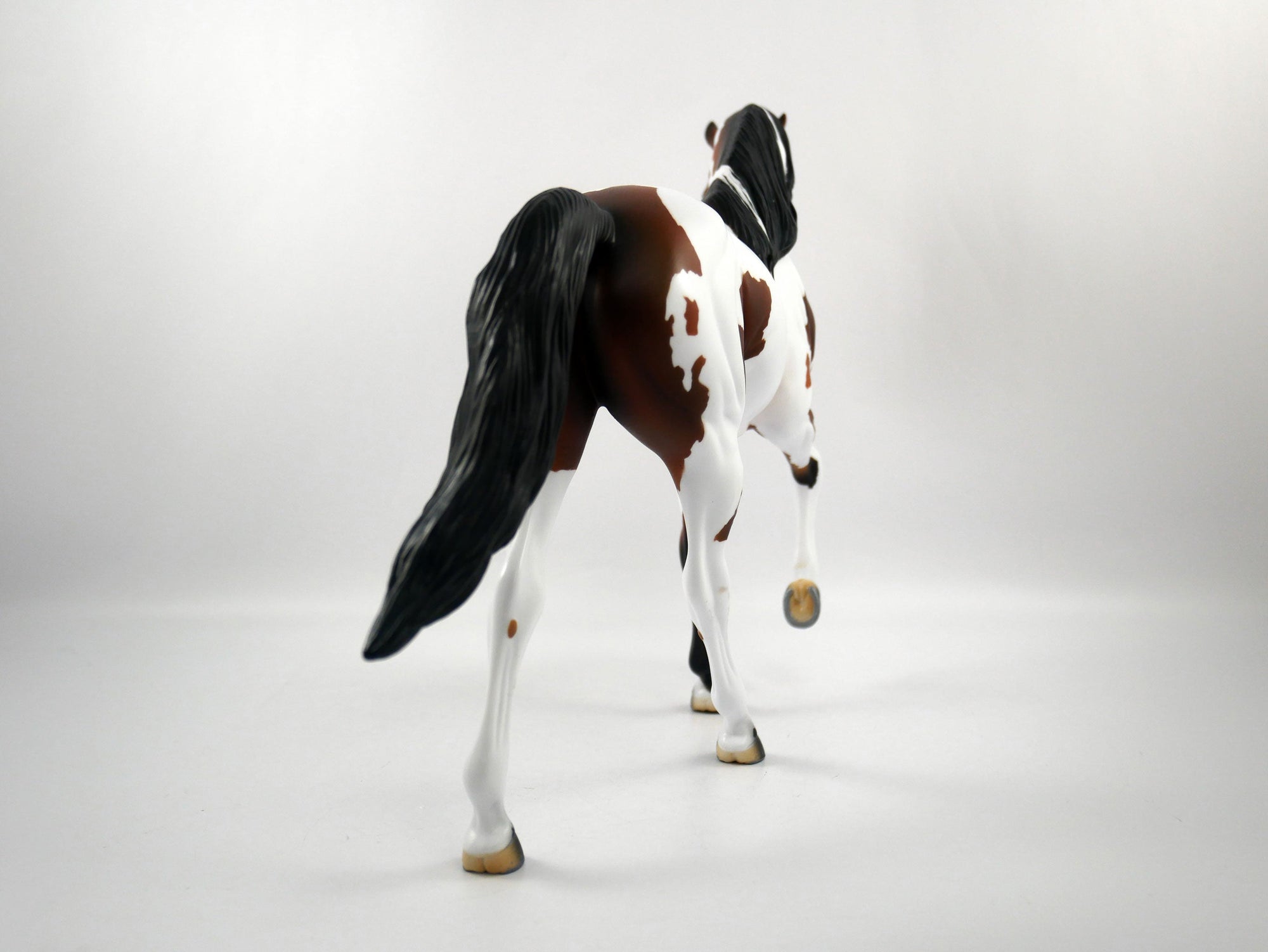 HANDOFF-OOAK Bay Pinto Tennessee Walker  SB21