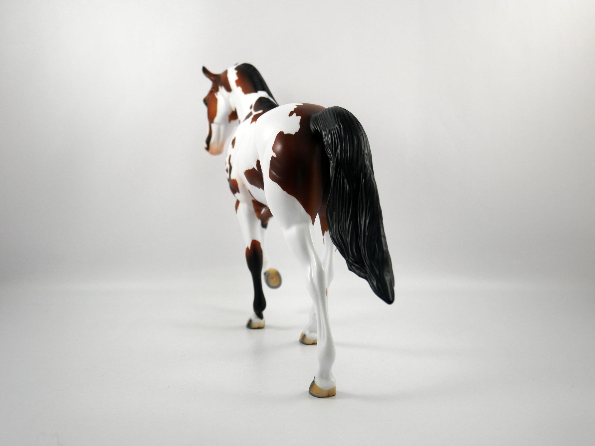 HANDOFF-OOAK Bay Pinto Tennessee Walker  SB21