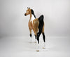 Hank-OOAK Buckskin Paint Arabian by Ellen 1/29/21