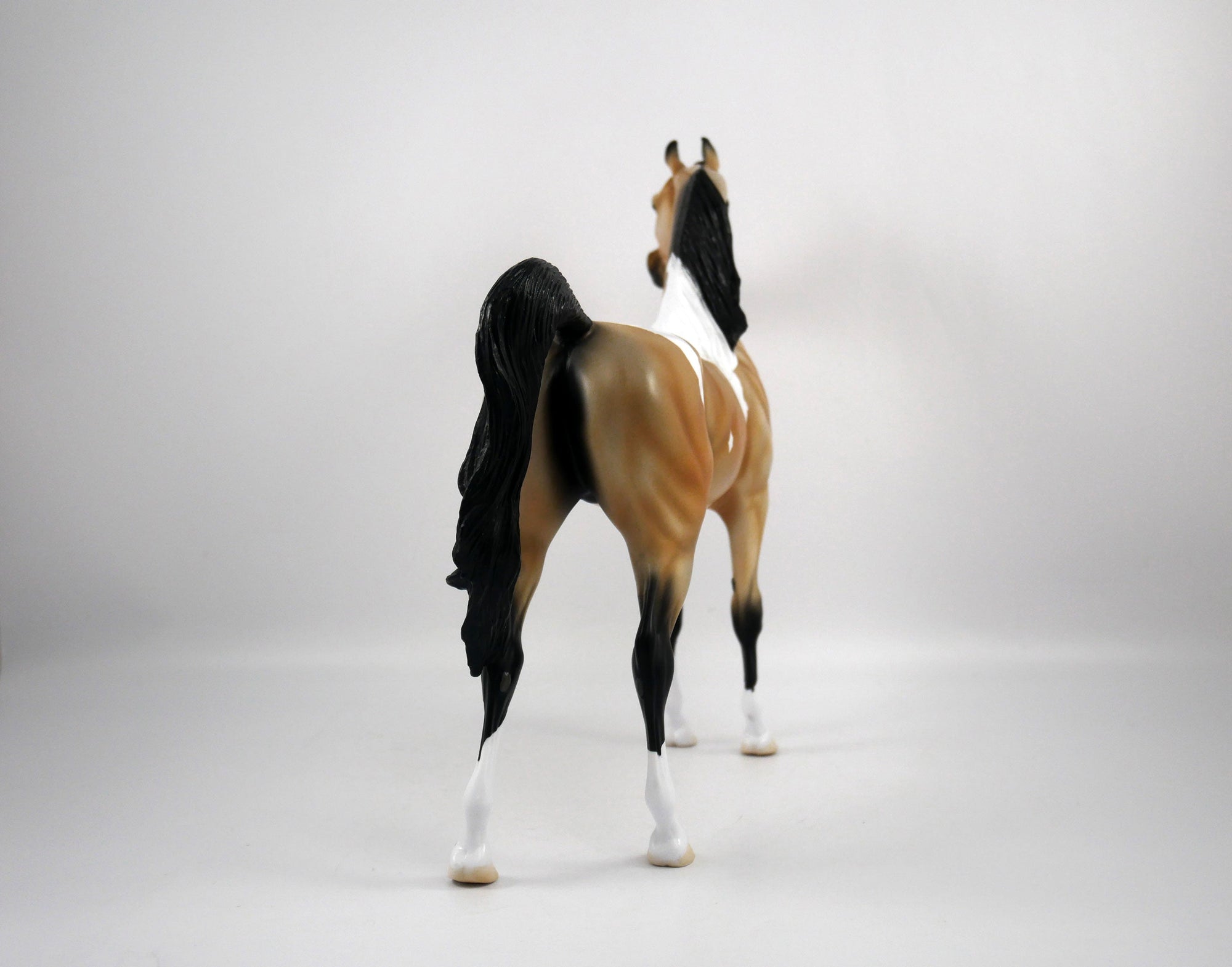 Hank-OOAK Buckskin Paint Arabian by Ellen 1/29/21
