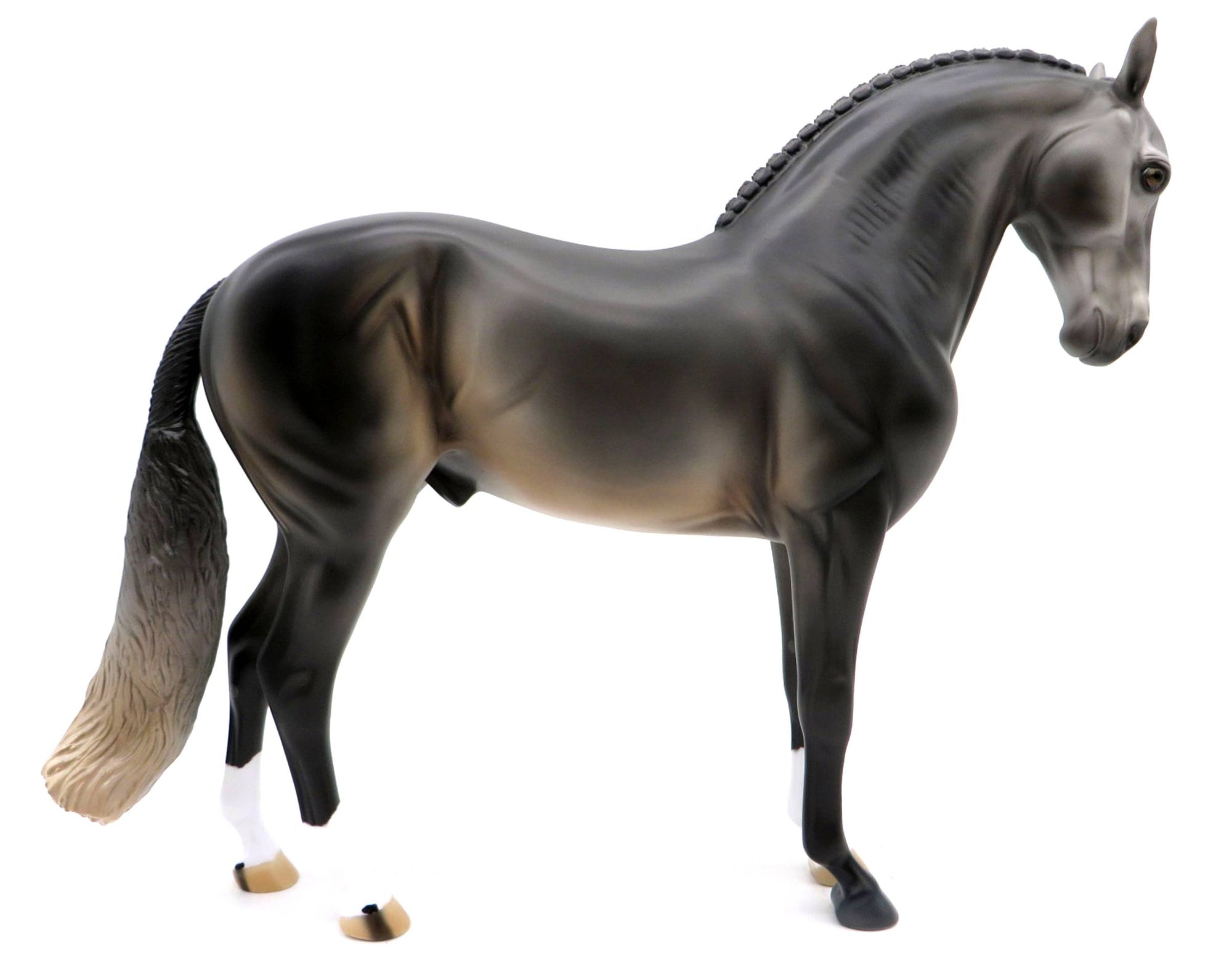 Hansel -- Dark Gray Andalusian