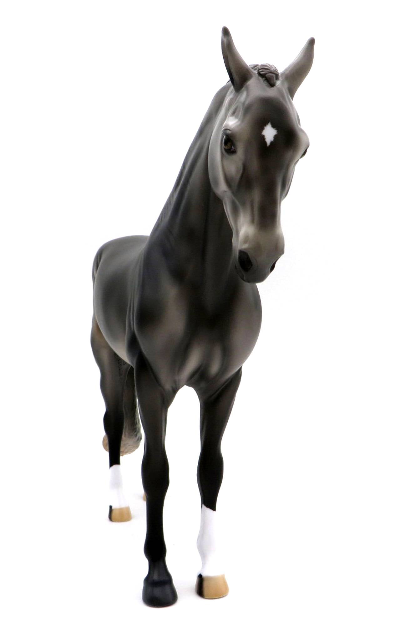 Hansel -- Dark Gray Andalusian