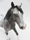 Happy Camper - OOAK - Grey Appaloosa Pebble Draft By Dawn Quick - SHCF23