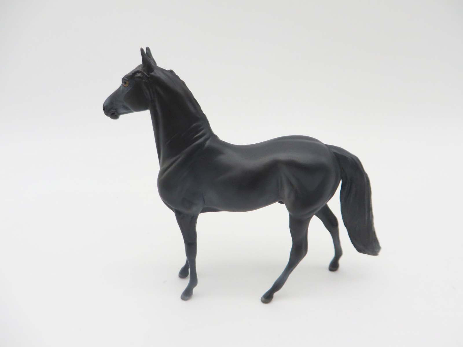 Happy Trails  OOAK  MorganChip By Donna Fredley SHCF23