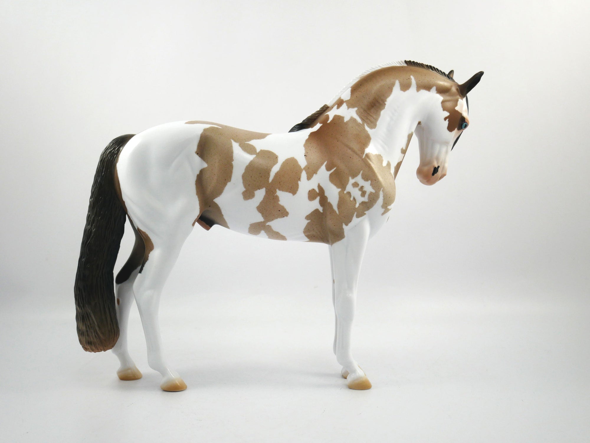 Hash Marks-OOAK Bay Roan Paint Andalusian SB21