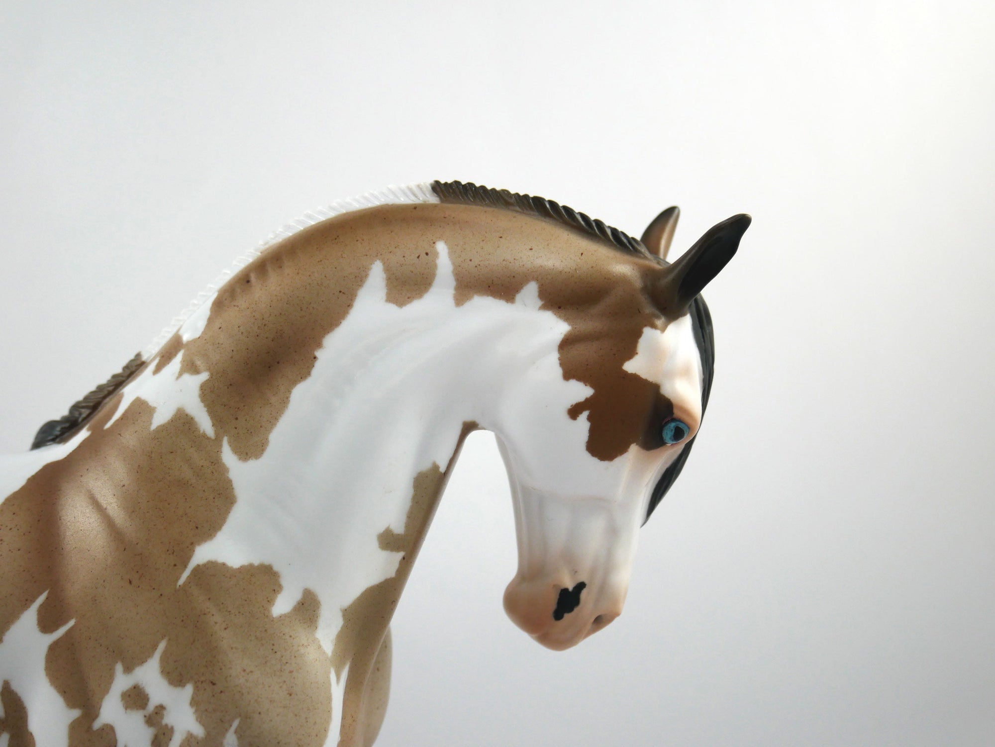 Hash Marks-OOAK Bay Roan Paint Andalusian SB21