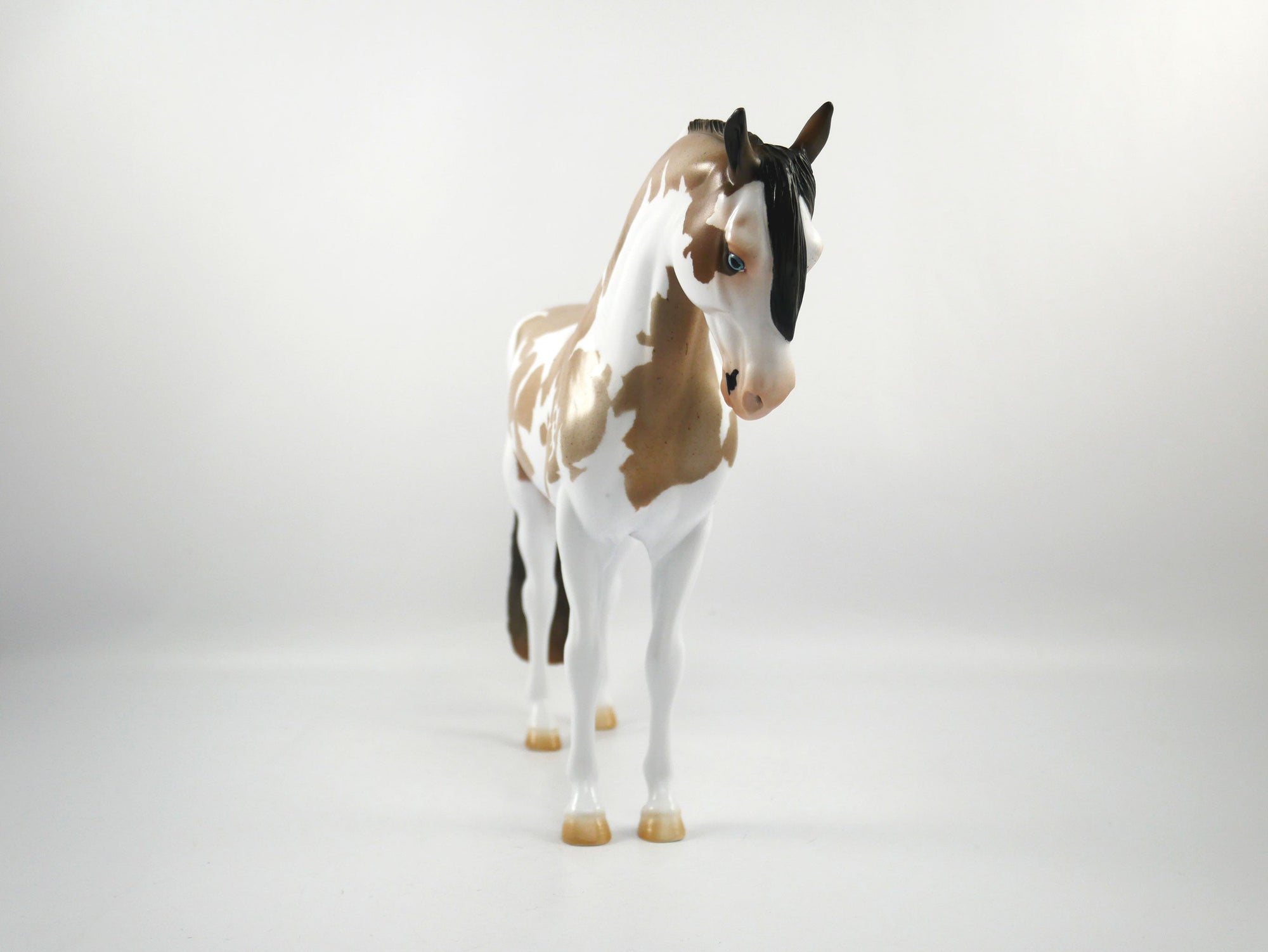 Hash Marks-OOAK Bay Roan Paint Andalusian SB21