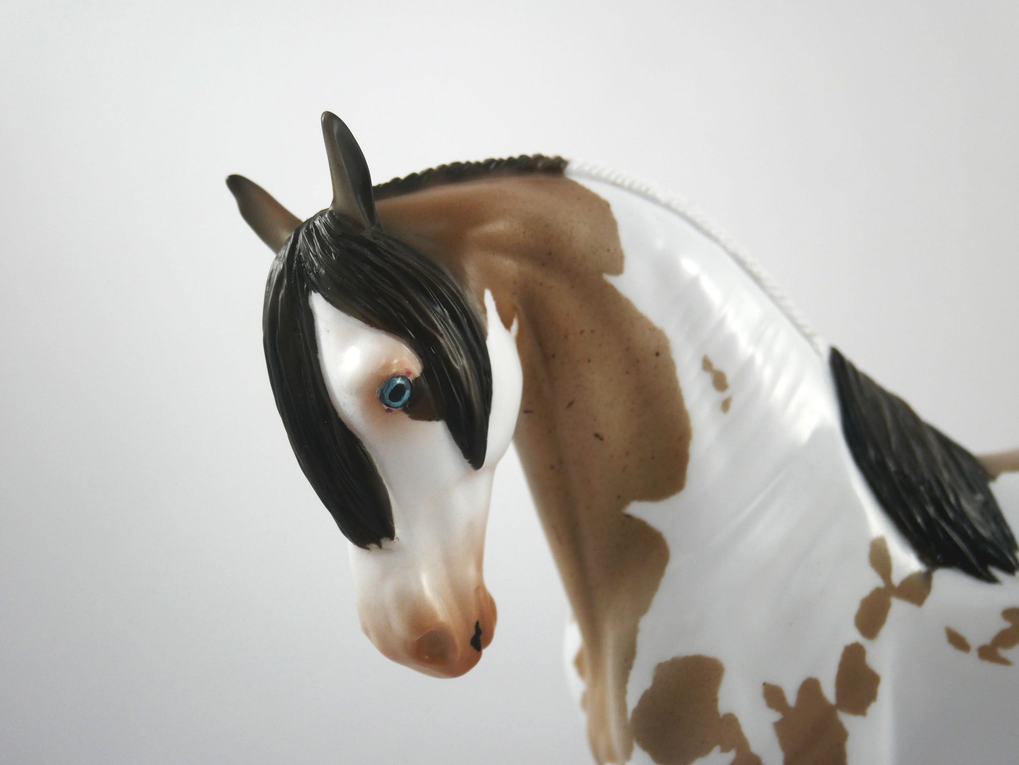 Hash Marks-OOAK Bay Roan Paint Andalusian SB21