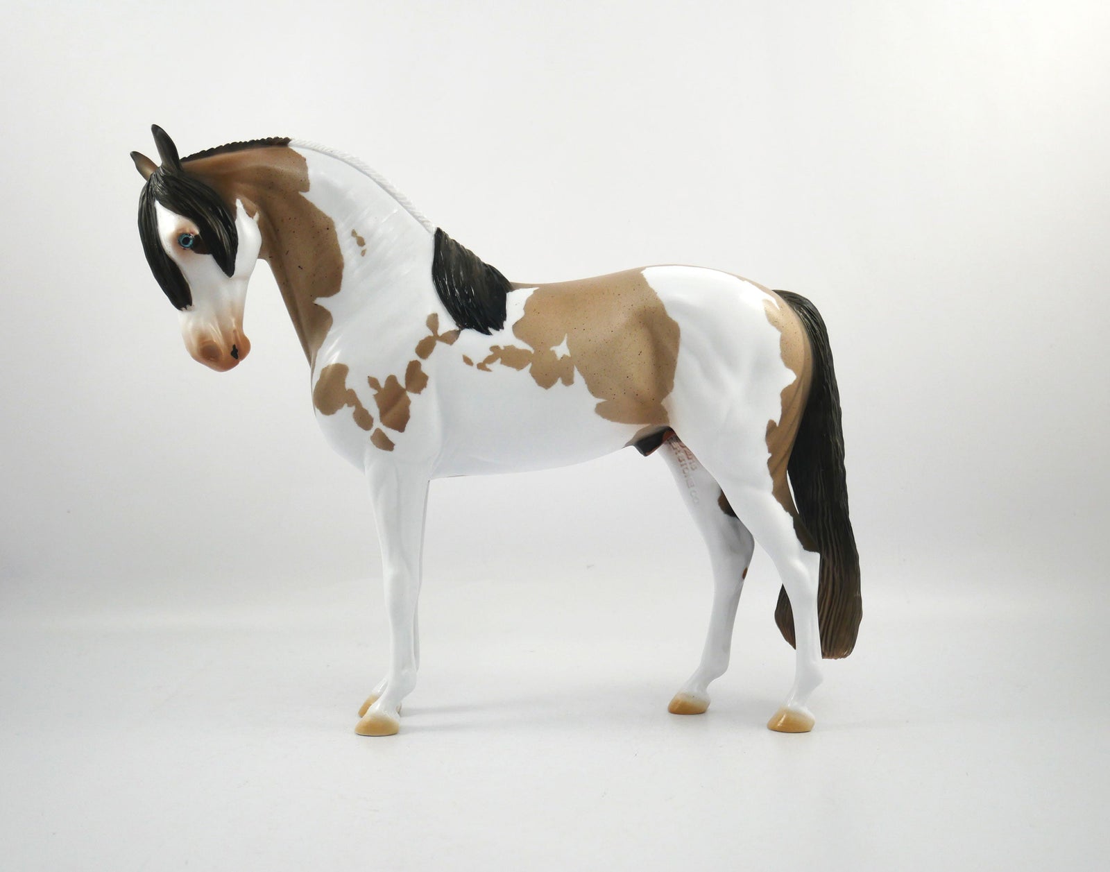 Hash Marks-OOAK Bay Roan Paint Andalusian SB21