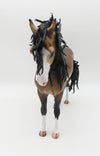 Hawkins - OOAK Dapple Sooty Buckskin Pinto Andalusian By Caroline Boydston 11/21/22