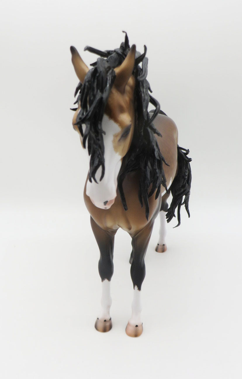 Hawkins - OOAK Dapple Sooty Buckskin Pinto Andalusian By Caroline Boydston 11/21/22