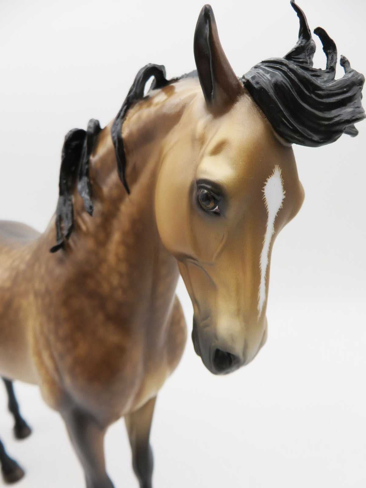 Hawthorne - OOAK - Dapple Buckskin Andalusian by Sheryl Leisure - Best Offers 1/9/23