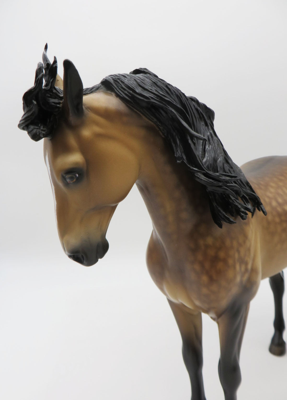 Hawthorne - OOAK - Dapple Buckskin Andalusian by Sheryl Leisure - Best Offers 1/9/23