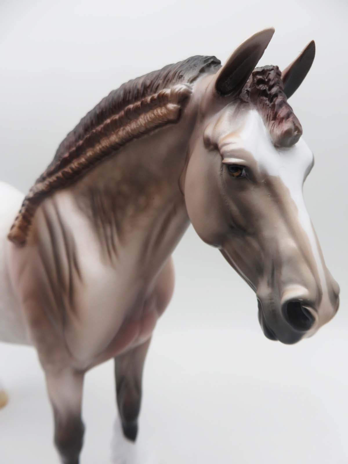 Hayden Valley - OOAK - Dappled Rose Grey Heavy Draft By Dawn Quick - SHCF23