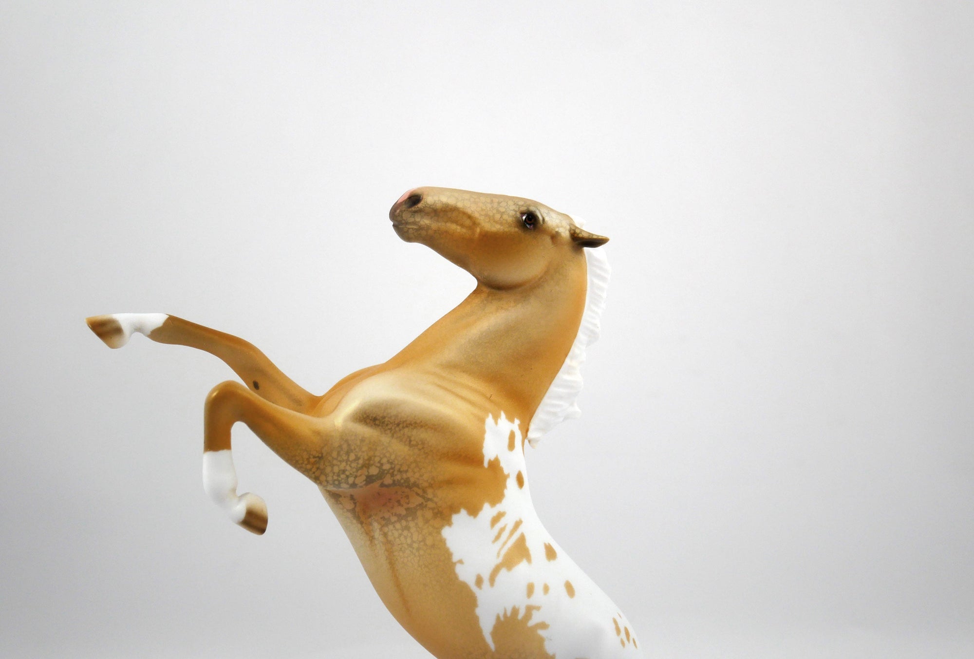 Heisman-LE-8 Palomino Rearing Pebbles SB21