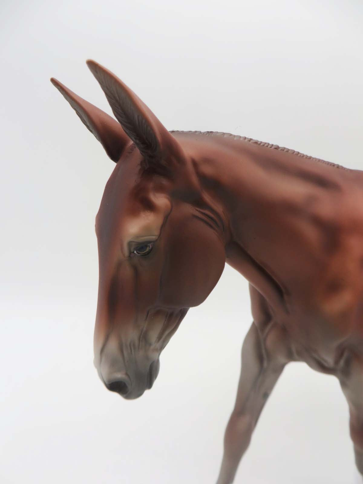 Hellabaloo - OOAK - Chestnut Mule By Jess Hamill - SHCF23