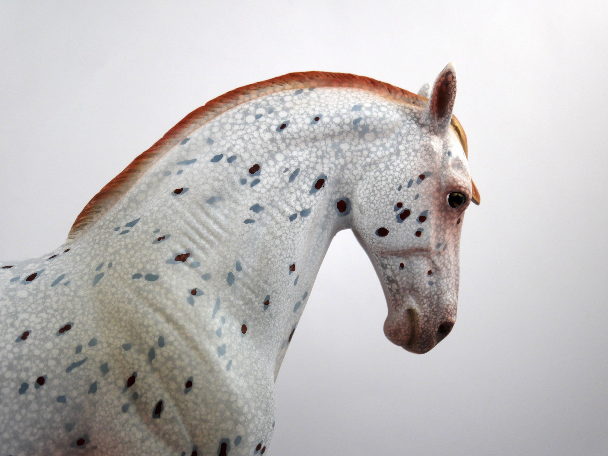 Helmet Head-OOAK Loud Appaloosa Andalusian SB 21