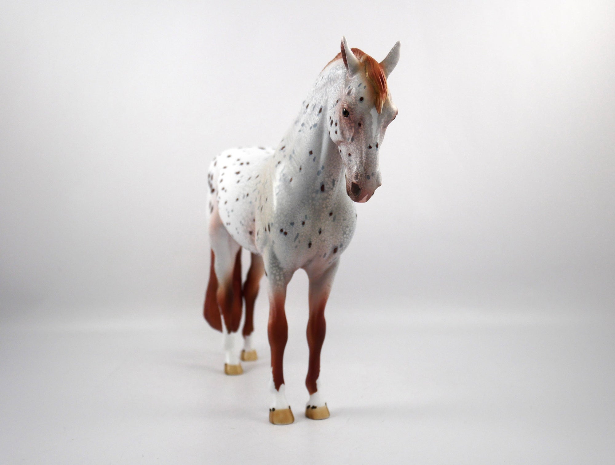 Helmet Head-OOAK Loud Appaloosa Andalusian SB 21