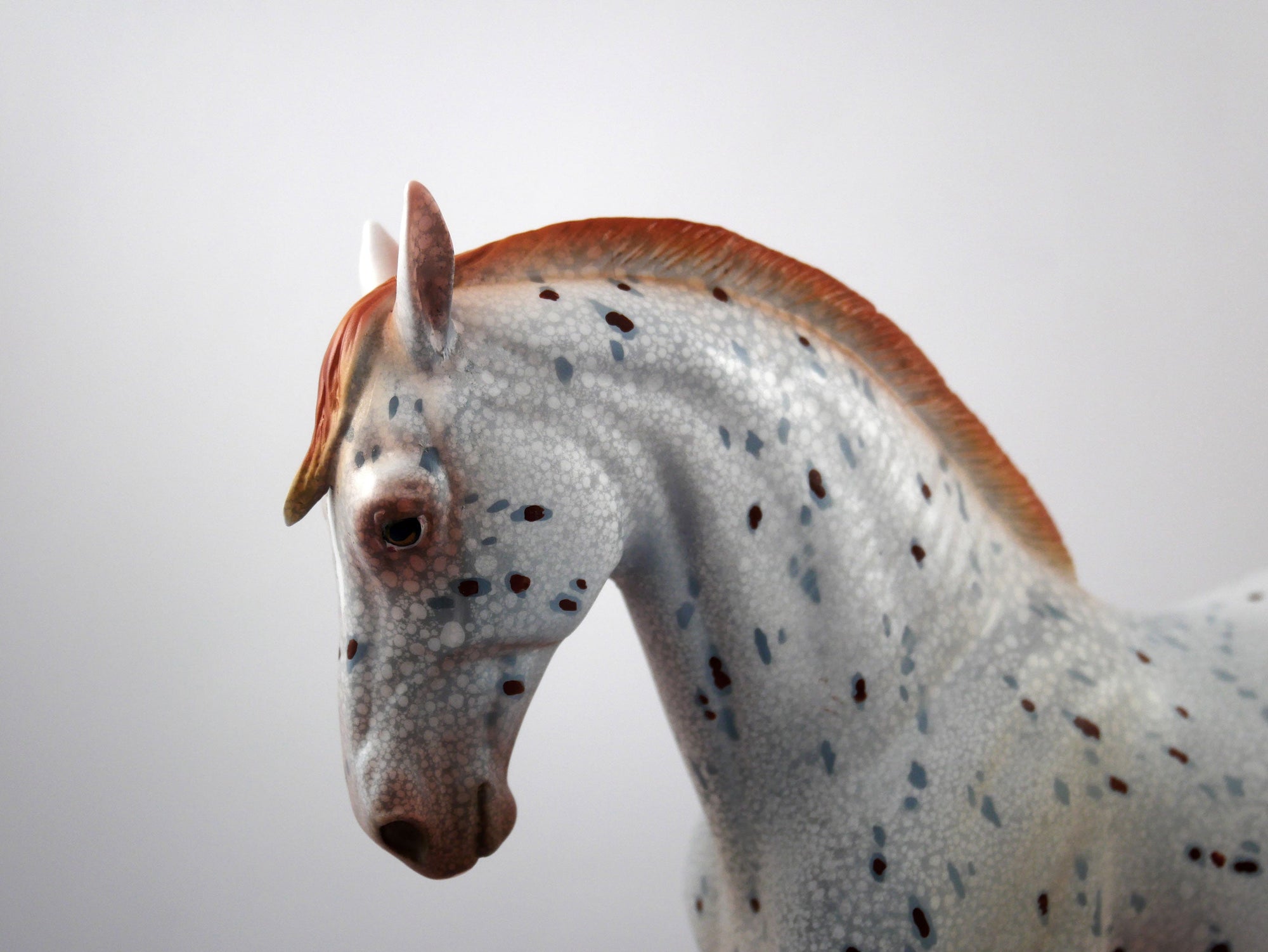Helmet Head-OOAK Loud Appaloosa Andalusian SB 21