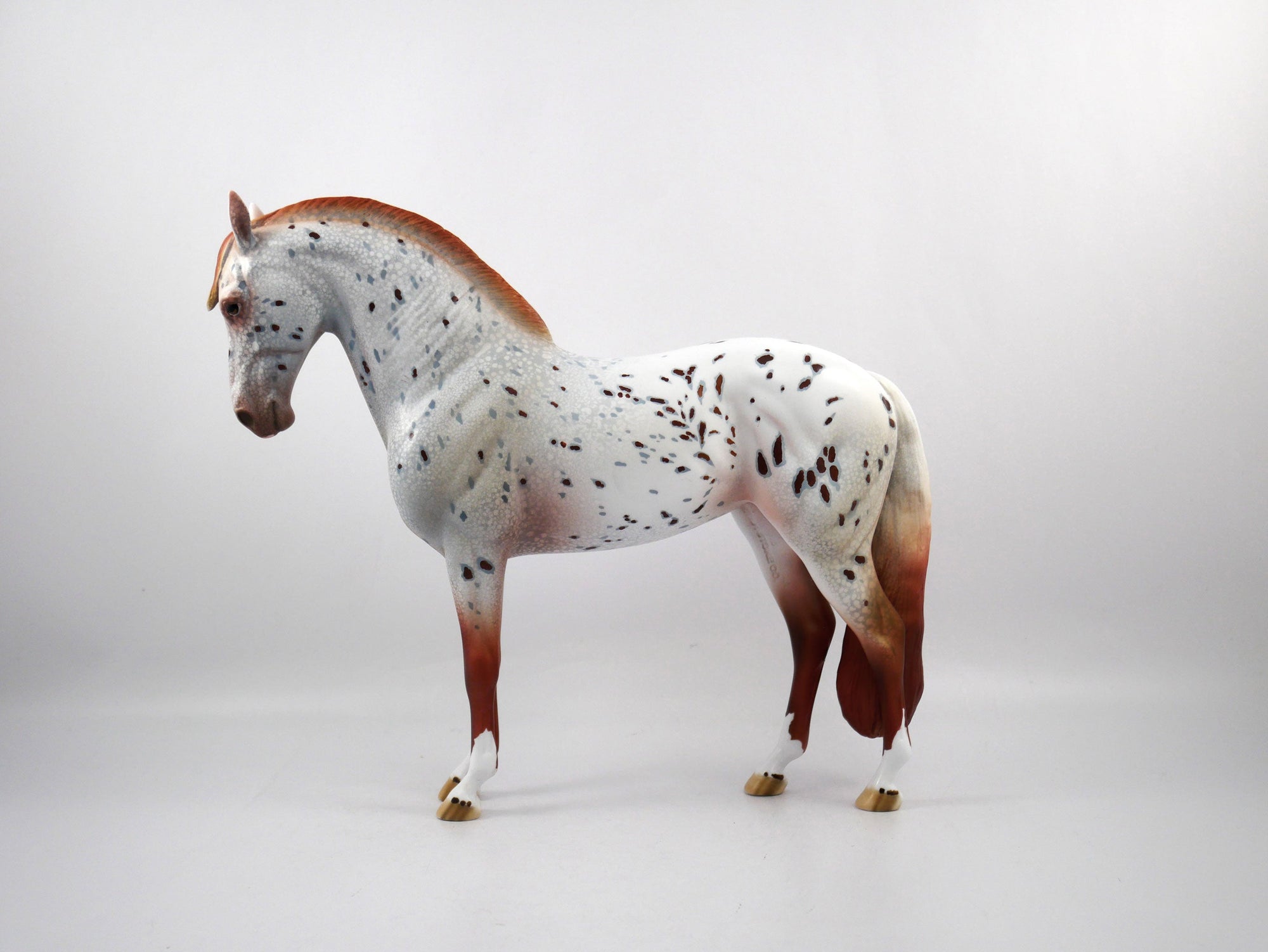 Helmet Head-OOAK Loud Appaloosa Andalusian SB 21