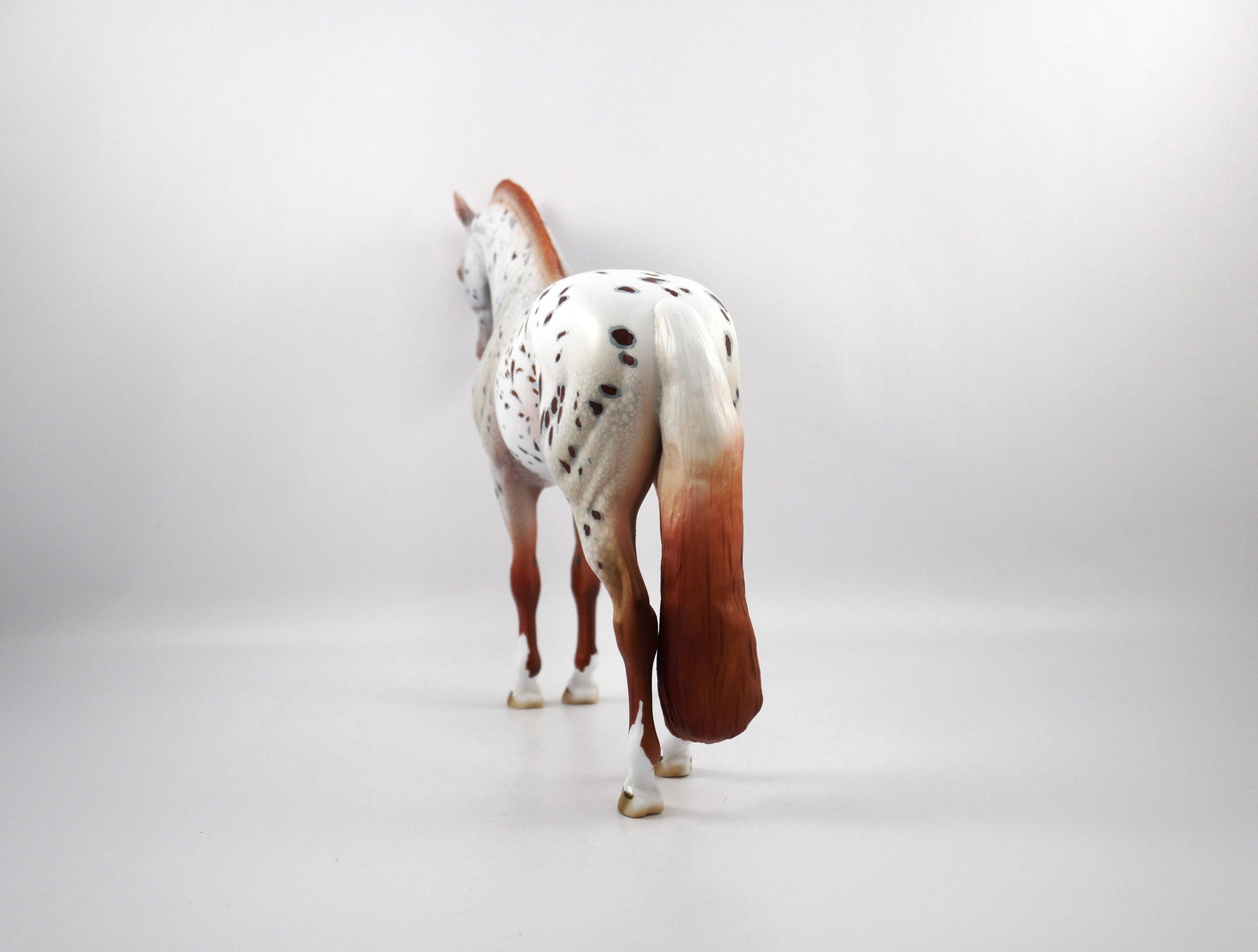 Helmet Head-OOAK Loud Appaloosa Andalusian SB 21
