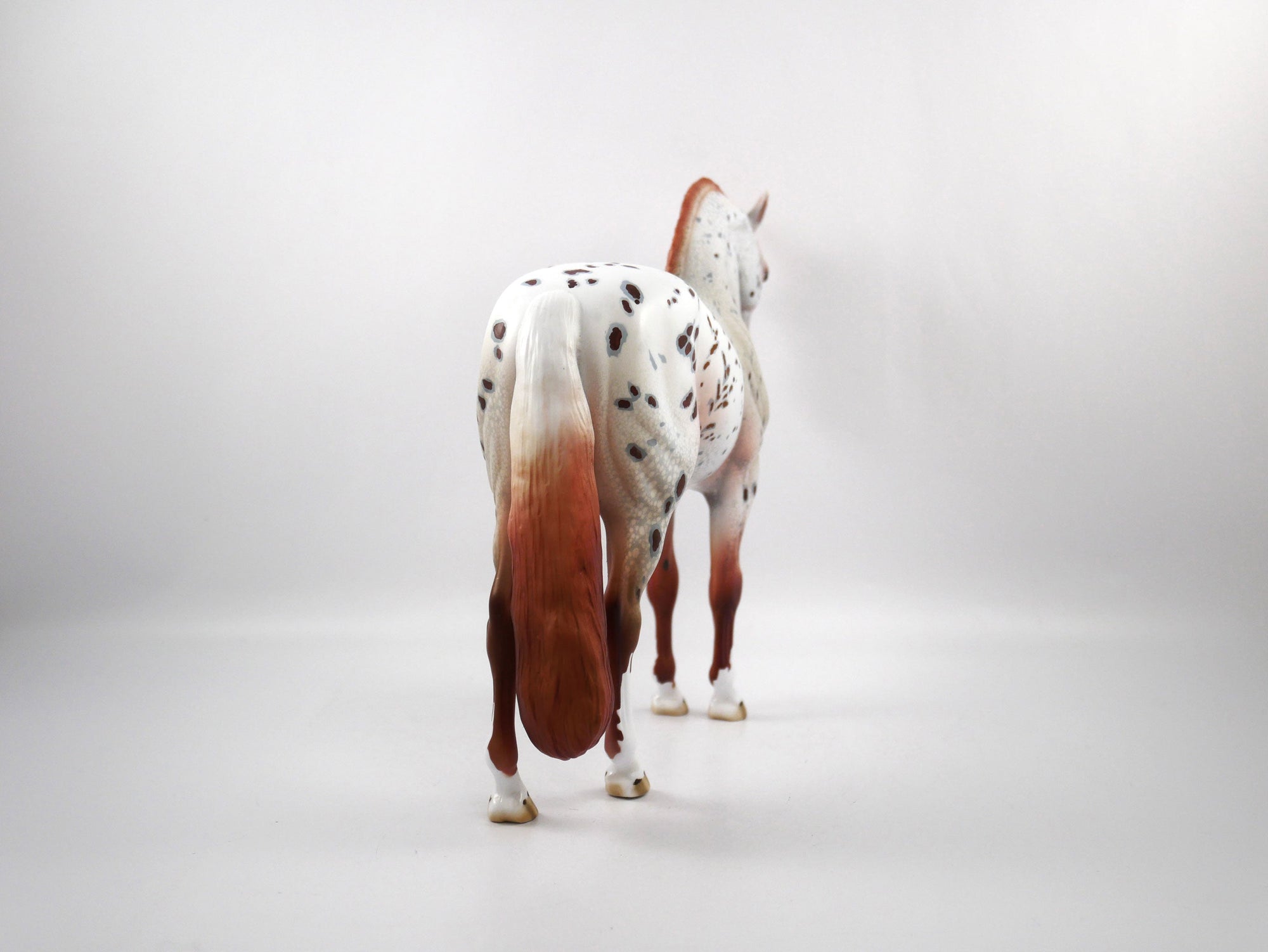 Helmet Head-OOAK Loud Appaloosa Andalusian SB 21