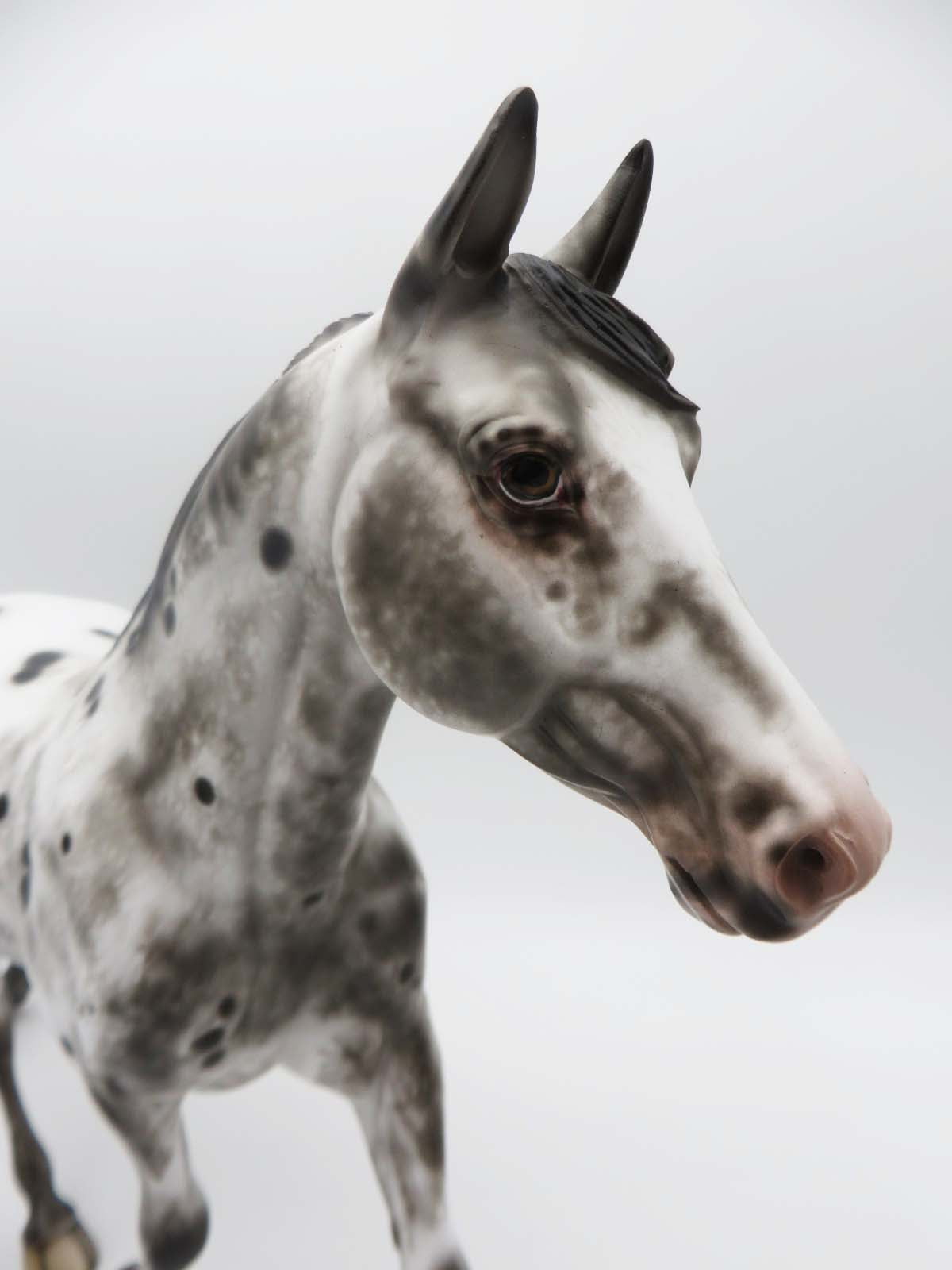 Here&#39;s My Heart - OOAK - Black Appaloosa Palouse by Sheryl Leisure - Best Offers 4/10/23