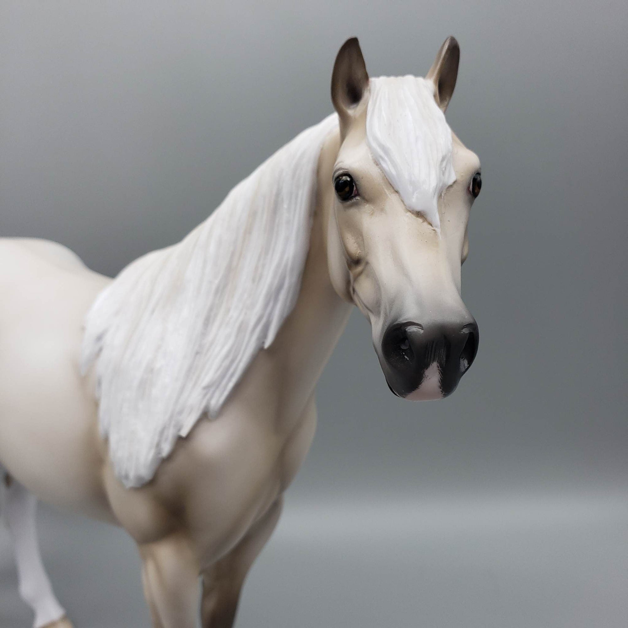 Heza Country Star OOAK Cremello ISH By Ellen Robbins Best Offers 6/19/23